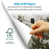 HP Printer Paper | 8.5 x 11 Paper | Copy &Print 20 lb | 5 Ream Case - 2500 Sheets| 92 Bright Made in USA - FSC Certified| 200350C