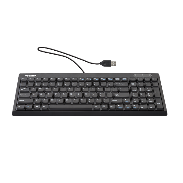 Input Device - KU100 USB Keyboard  PA5236U-1ETB